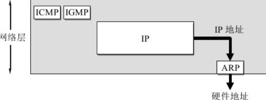 ARP协议的作用